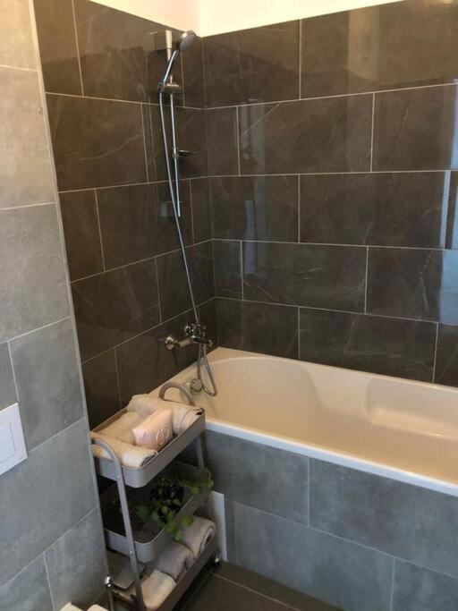 Apartament Luxury Lavender Gorgeous Terrace Free Undg Parking Timişoara